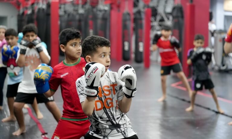 UFC Boxing FYT